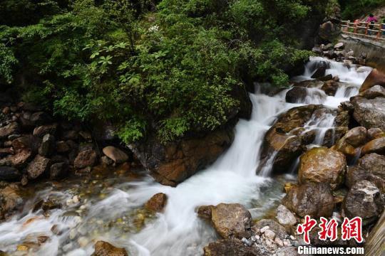 6月17日,甘肃宕昌县官鹅沟水流瀑布美景。 杨艳敏 摄