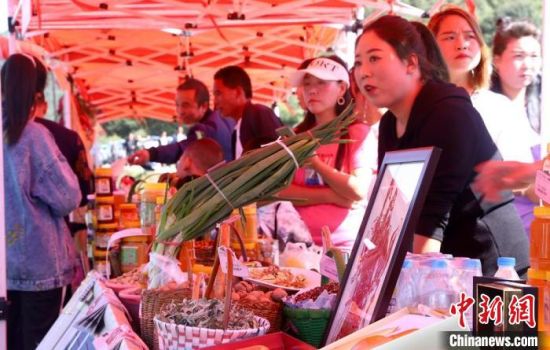 图为活动现场,村民展示自家种植的各类农产品。 秦亭镇政府供图