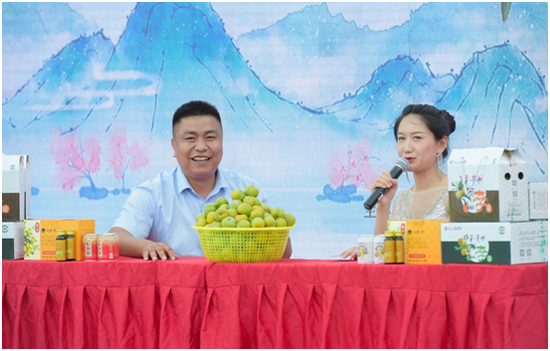 六马镇镇长陆贤德教大家如何识别并买到正宗蜂糖李