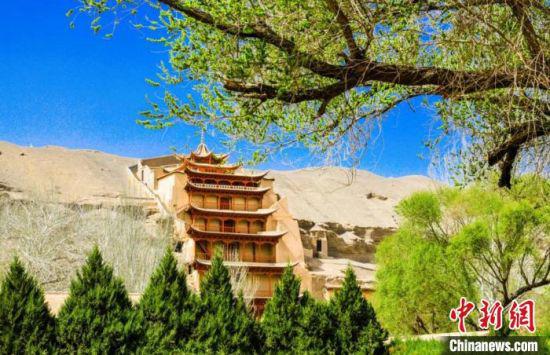 图为敦煌四月的资料图,莫高窟景区春意盎然。 王斌银 摄
