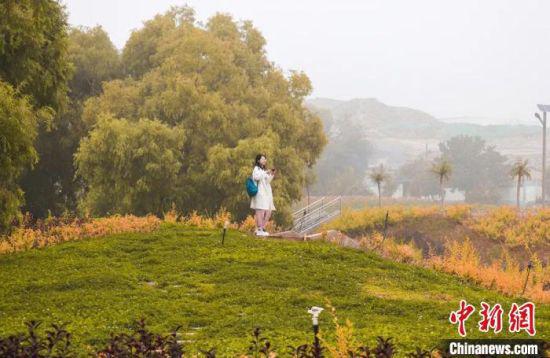 图为白银区荒山荒坡经过治理,景色如画,吸引市民游玩。 包兴鹏 摄