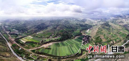 2020年7月中旬,“中国薯都”甘肃定西迎来马铃薯开花季,昔日黄土塬呈现一派绿景。(资料图)易思耿 摄