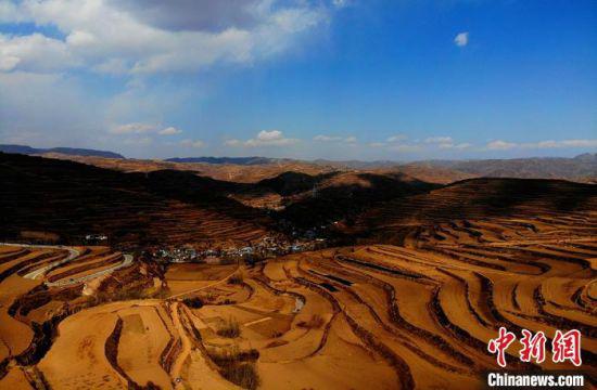 图为甘肃宕昌县庞家乡拉路梁优质中药材种植基地。 李亚龙 摄