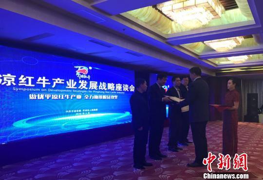 3月24日,“平凉红牛产业发展战略座谈会”举行,中外专家应邀做客平凉,发挥智囊智库作用,对“平凉红牛”发展献良策。图为平凉市聘请“平凉红牛产业发展技术顾问”。 艾庆龙 摄