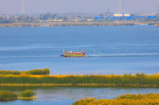 ▲供图/沙湖旅游景区