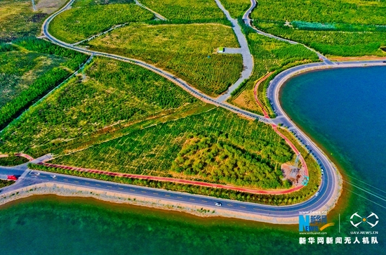 空中俯瞰甘肃省张掖市甘州区滨河新区城市森林公园。新华网发 (王将 摄)