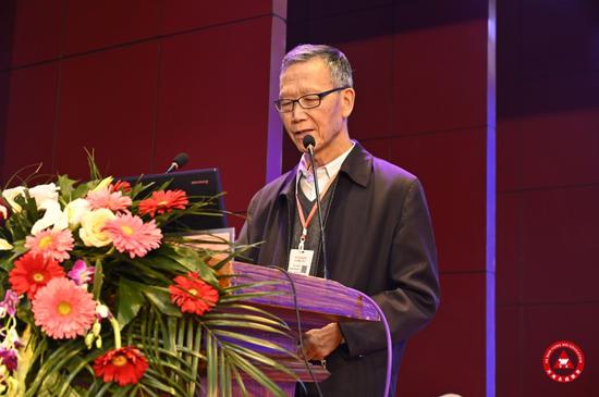图:中国教育学会原常务副会长、蔡林森教育思想研究会会长郭振有在发言