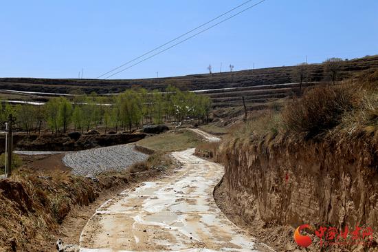 庙咀村的通社道路