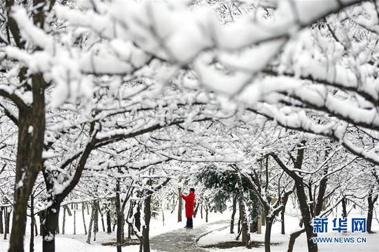 11月5日,市民在雪中的崆峒区南山生态公园拍照留念。 新华社发(杨昕 摄)