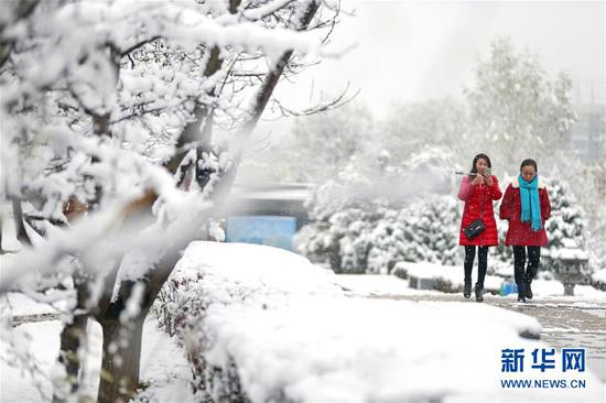 11月5日,市民冒雪在崆峒区南山生态公园游玩。 新华社发(杨昕 摄)
