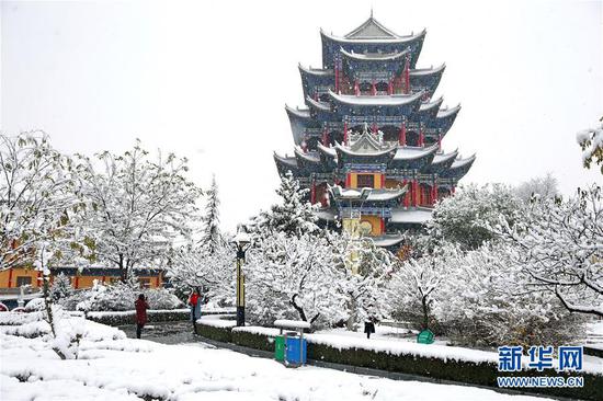 这是11月5日拍摄的雪中的崆峒区南山生态公园。 新华社发(杨昕 摄)