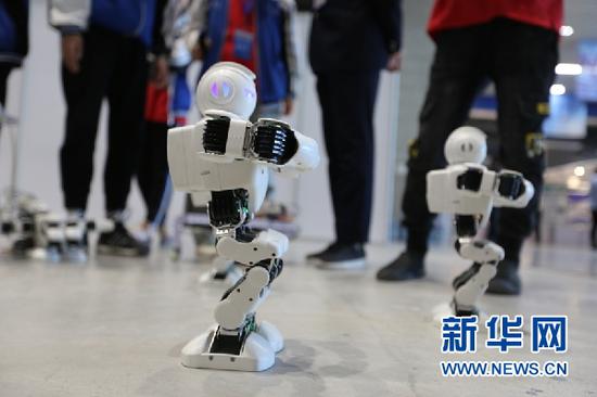 机器人模型展示。新华网发(刘欣瑜 摄)
