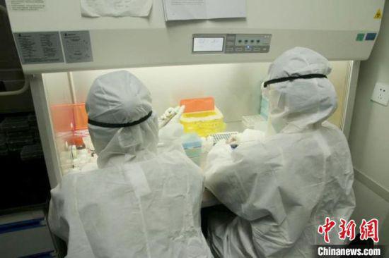 甘肃省庆阳市疾控中心采样员正在分析样品。 胡晓辉 摄