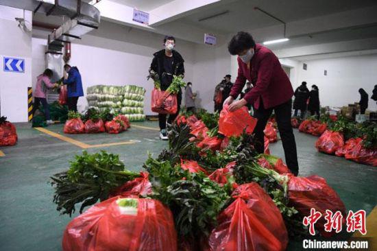 图为2月7日,兰州一住宅小区向3000多住户派发免费蔬菜。 杨艳敏 摄