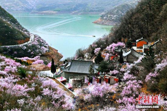 三月下旬,甘肃平凉市崆峒山下弹筝湖两岸十里桃花“映山红”,为翠绿的“镜子”镶上一圈粉色的边框,引得游人争相览春。游船从湖面划过,泛起丝丝涟桃花映入碧水中,与古刹道观交相辉映,一幅幅人与自然和谐相处的画卷浮现在面前。 万小莲 摄