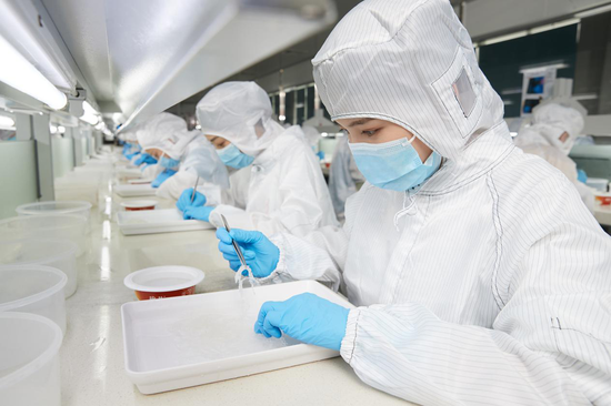 图:燕之屋挑毛女工专注纯手工挑毛