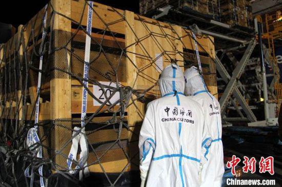 这是甘肃省首次引进种猪入境,旨在改良本土品种,促进养猪产业转型升级发展。图为兰州海关工作人员对进口种猪进行检验检疫。