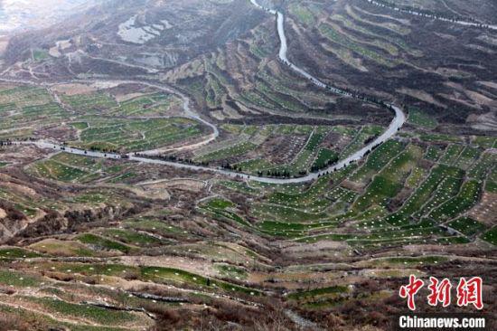 图为陇南市武都区新一轮退耕还林核桃基地建设。(资料图) 陇南市林业和草原局供图