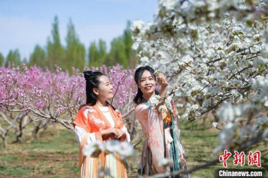 4月中旬,敦煌市莫高镇开展以“梨花千树·曲艺闹春”为主题的旅游复苏暨乡村振兴系列活动。 王斌银 摄