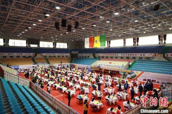 5月20日,“崆峒杯”第一届全国女子业余围棋公开赛在平凉市开幕。 赵勇 摄
