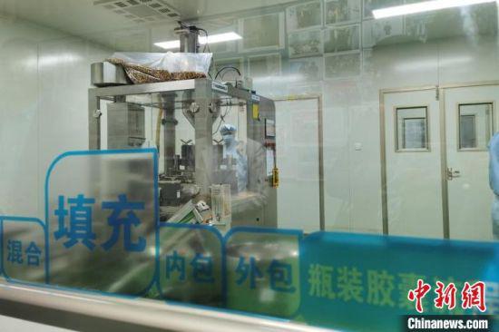 5月下旬,中新网记者采访从事医药行业20余年的任中锋。图为“健康保健”生产车间。 张婧 摄