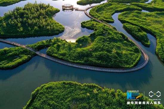 张掖国家湿地公园草木翠绿。新华网发 (吴学珍 摄)