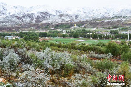 图为雪后的山川草原一片银装素裹。 武雪峰 摄
