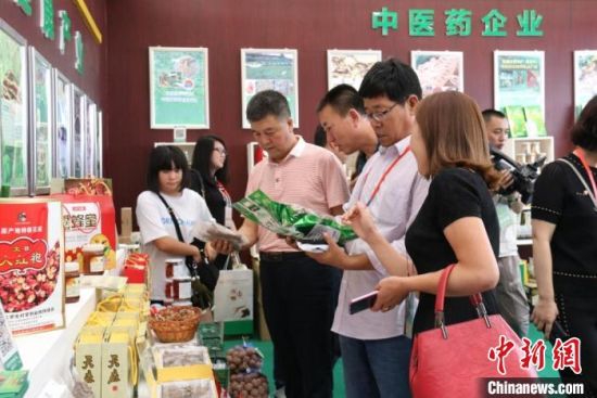 2019年8月,甘肃陇南市“药博会”上,各地商企在展位上寻觅中药材及当地特产。(资料图) 闫姣 摄