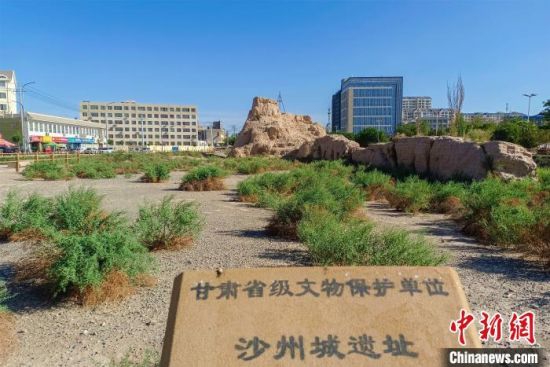 图为沙州郡城遗址公园古遗址。 王斌银 摄