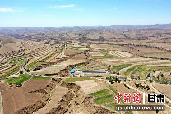 图为甜水镇干旱的农田。 李文 摄