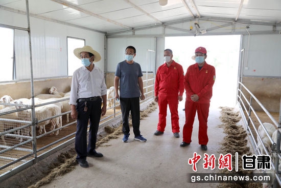 采油二厂在环县驻村干部主动协调对接,共同开展抗旱保羊增收。