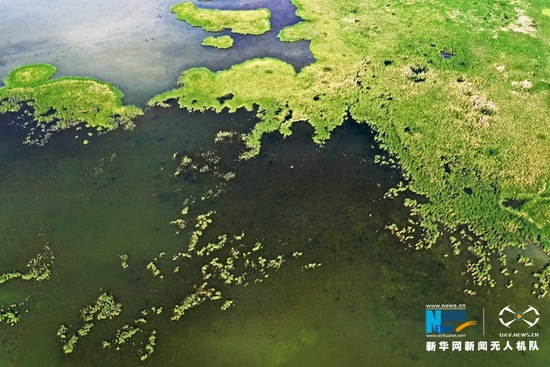 这是近日航拍的甘肃省张掖黑河湿地国家级自然保护区高台县明塘湖湿地。新华网发 (郑耀德 摄)
