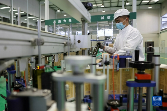 在陇南一家油橄榄加工企业的生产线上,工作人员贾彦文在对橄榄油进行贴标作业(12月7日摄)。新华社记者 陈斌 摄