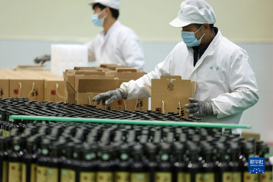 在陇南一家油橄榄加工企业的生产线上,工作人员对橄榄油进行包装(12月7日摄)。新华社记者 郎兵兵 摄
