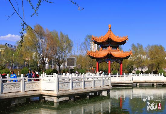 公园内天蓝、地绿、水清,是谁打翻了春日的调色盘?
