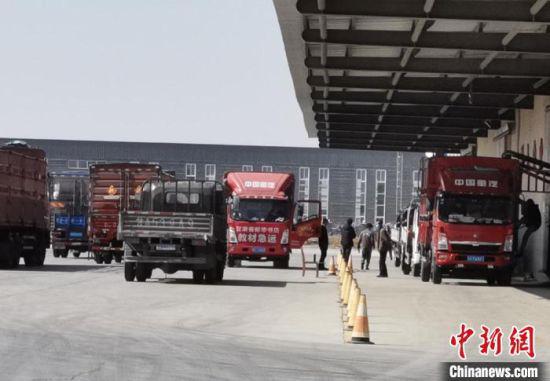 图为甘肃大北农公司厂区内运输产品的货车排队等待装车。受访者供图