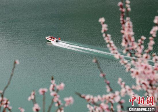 图为桃花映衬下的弹筝湖。 吴希会 摄