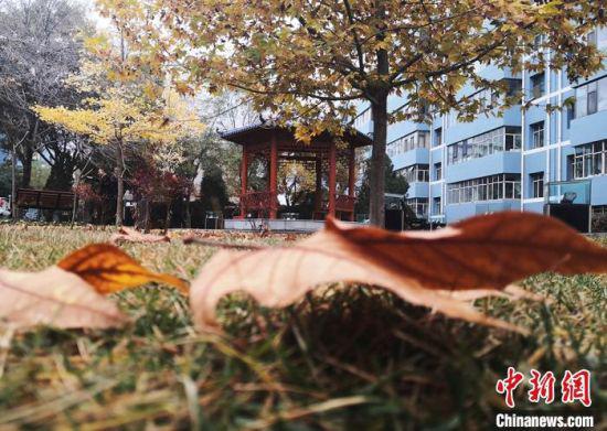 图为白银区改造老旧小区,建设生态园林化小区。 刘玉桃 摄