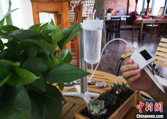 2019年,西北师范大学学生研发“浇花神器”,可通过手机软件,实现远程控制给植物浇水。(资料图) 刘玉桃 摄