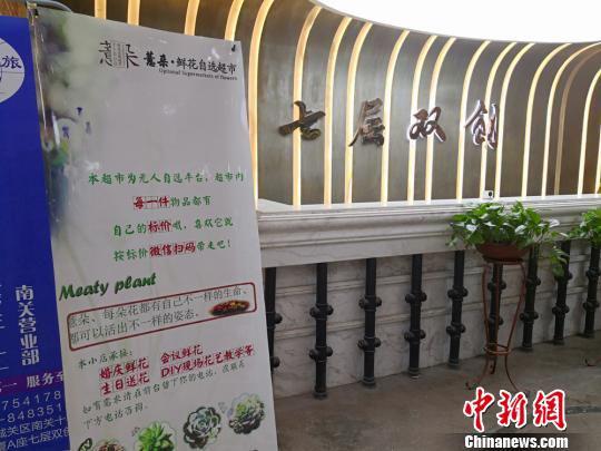 图为“90后”孙嘉悦毕业后和同伴一起合资创办的“七层双创”空间。 刘薛梅 摄