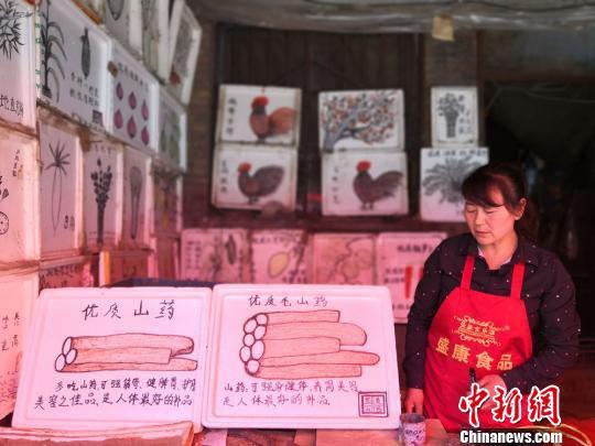 图为胡二玲画的山药,并标明了各自的功效。 杨娜 摄