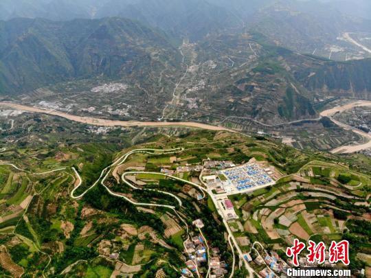 2016年,清水县开始大面积种植构树,这种耐寒耐旱的植物不仅助农增收,也让以往干旱的土地渐变一片“绿洲”。 杨艳敏 摄