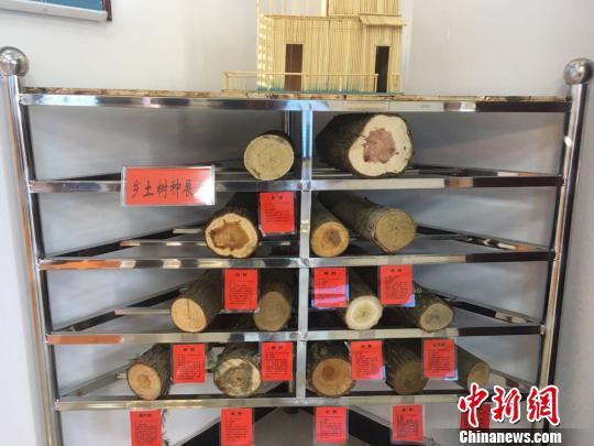 图为乡土树种展区展示不同种类树木。 张婧 摄