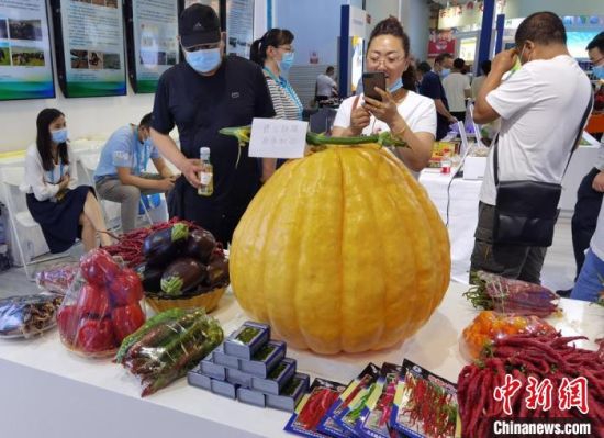 图为在第27届兰洽会上展示的甘肃农产品。 丁思 摄