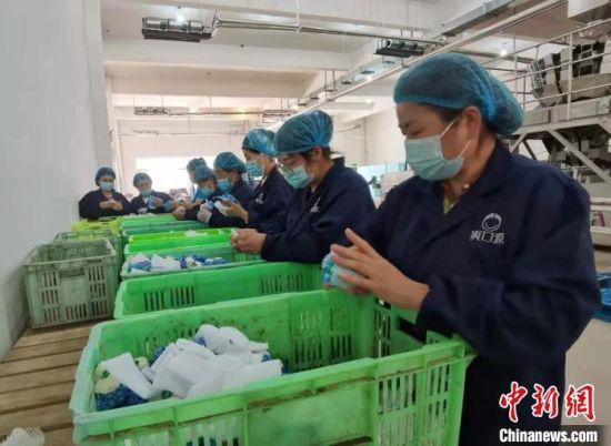 6月29日,兰州市首批“乡村就业工厂”揭牌,全面推进扶贫车间转型升级持续发展。 张婧 摄