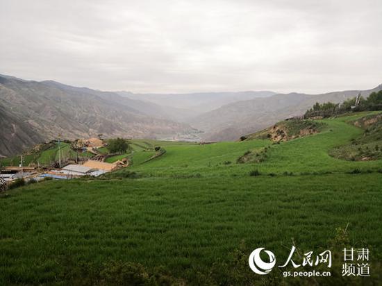 甘肃夏河县格尔仓村,平均海拔2700米,是一个典型半农半牧区。(呼双鹏 摄)