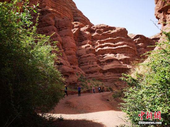 峡谷以流水沟壑为基本特征,山势低且平缓,以沙石山为背景,主要以红白和赭红色为主色调,色彩略显灰暗,多呈圆锥或柱状,造型奇特。吴学珍 摄