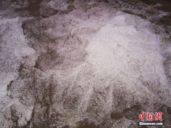 6月10日下午,甘肃定西市通渭县遭遇冰雹天气,造成当地农作物受损。