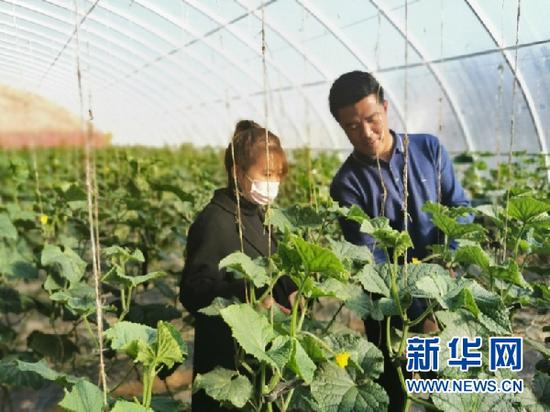 花儿新村农民正在劳动。(照片由受访者提供)