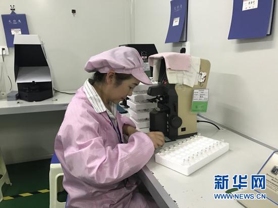 赵雪梅正在工作。新华社记者 程楠 摄